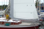 Delphin